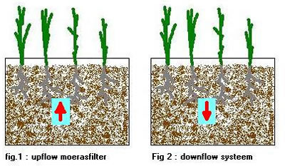Up  en downflow moerasfilter