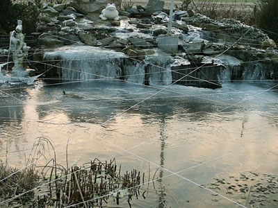 Vijver in de winter