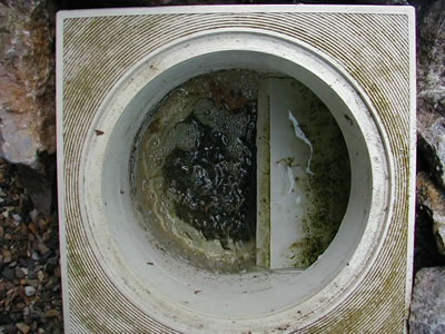 Skimmermand