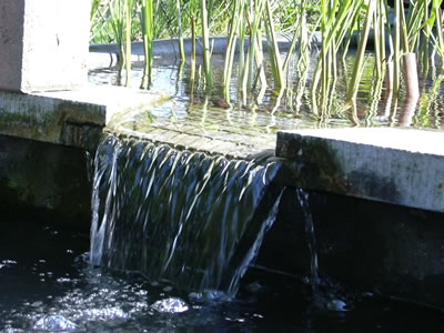 Apart staand moerasfilter met waterval