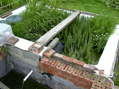 Plantenfilter in volle werking
