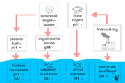 Heel wat natuurlijke processen zijn op invloed van de zuurtegraad of pH van het water.