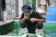 Shinoda