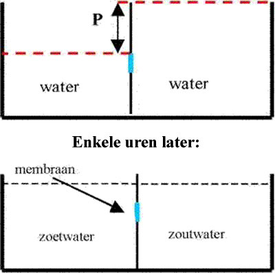 Wat is osmose