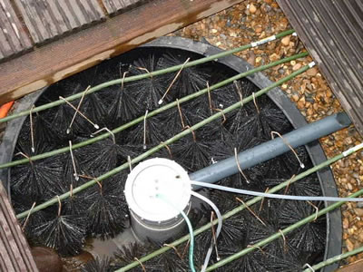 Zelfbouw eiwitafschuimer Nikie Van Oers 1