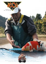 KOI cover 2
