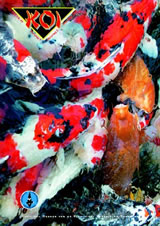 KOI cover 3