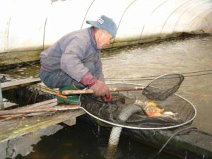 japans-schepnet-2