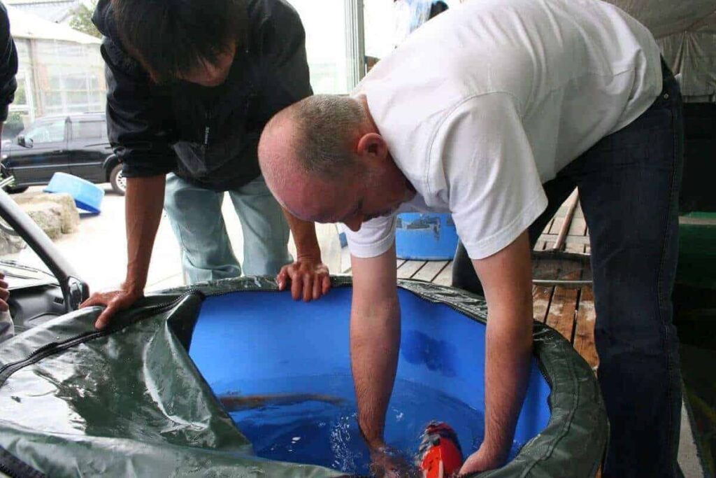 koi inspecteren